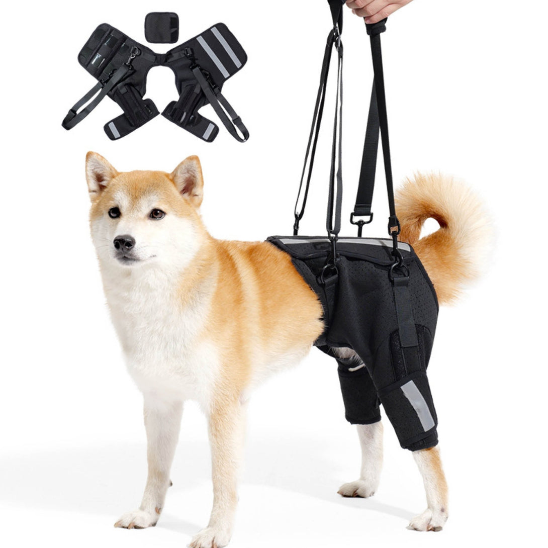 Rear Leg Support Harness for Senior and Disabled Dogs - PawPattz