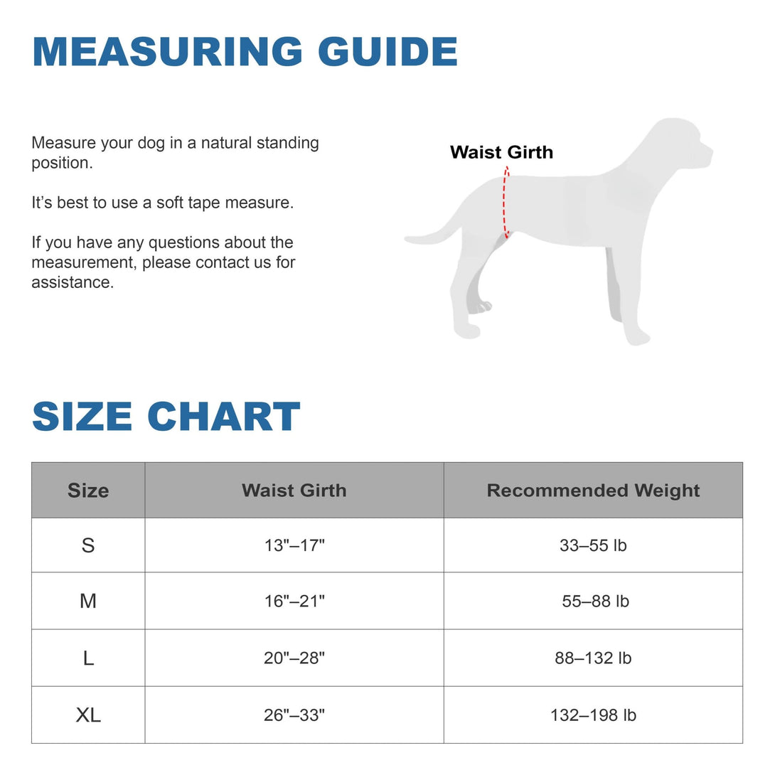 Rear Leg Support Harness for Senior and Disabled Dogs - PawPattz