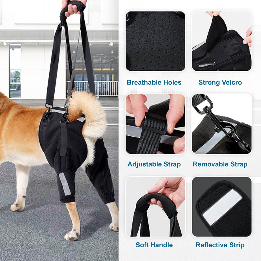 Rear Leg Support Harness for Senior and Disabled Dogs - PawPattz