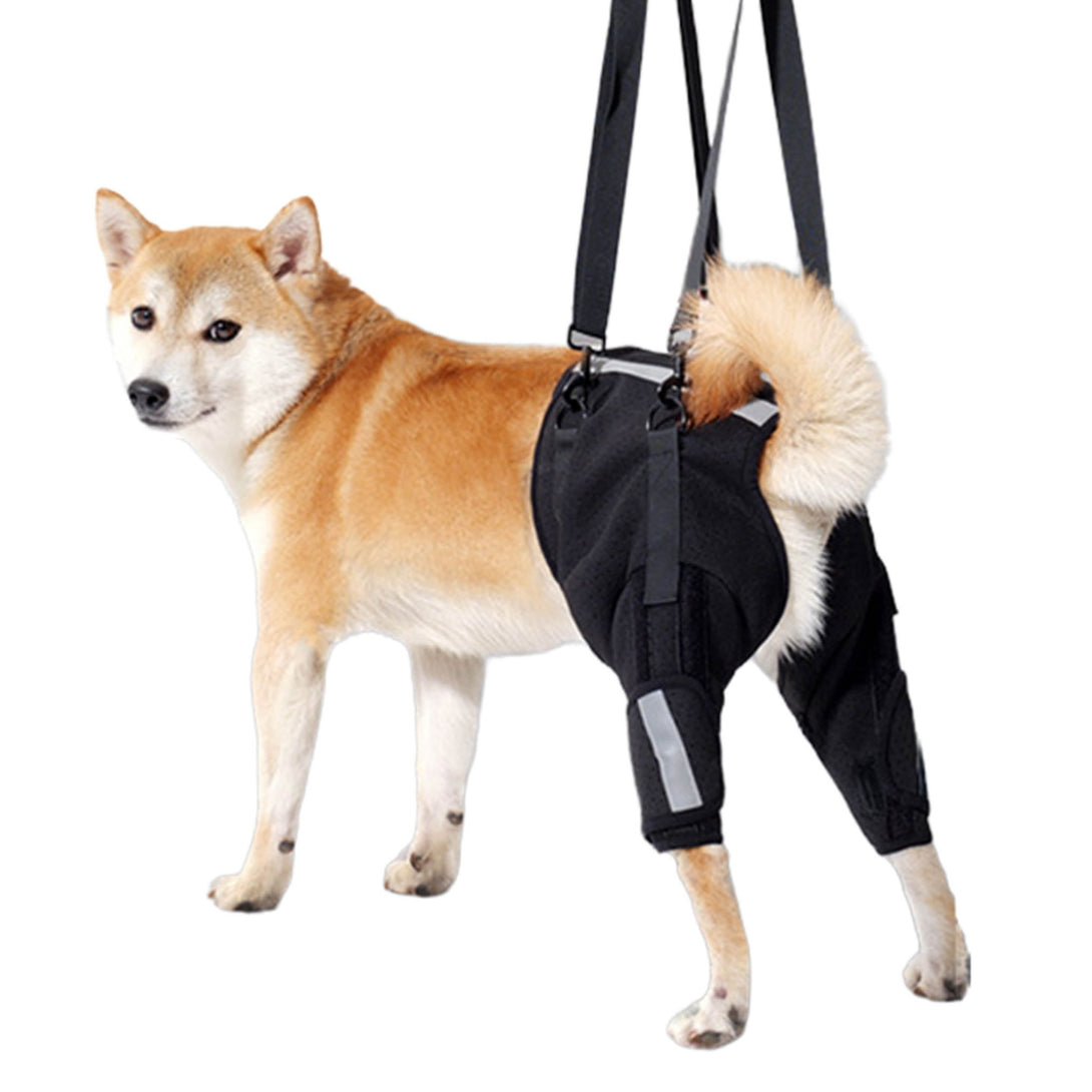 Rear Leg Support Harness for Senior and Disabled Dogs - PawPattz