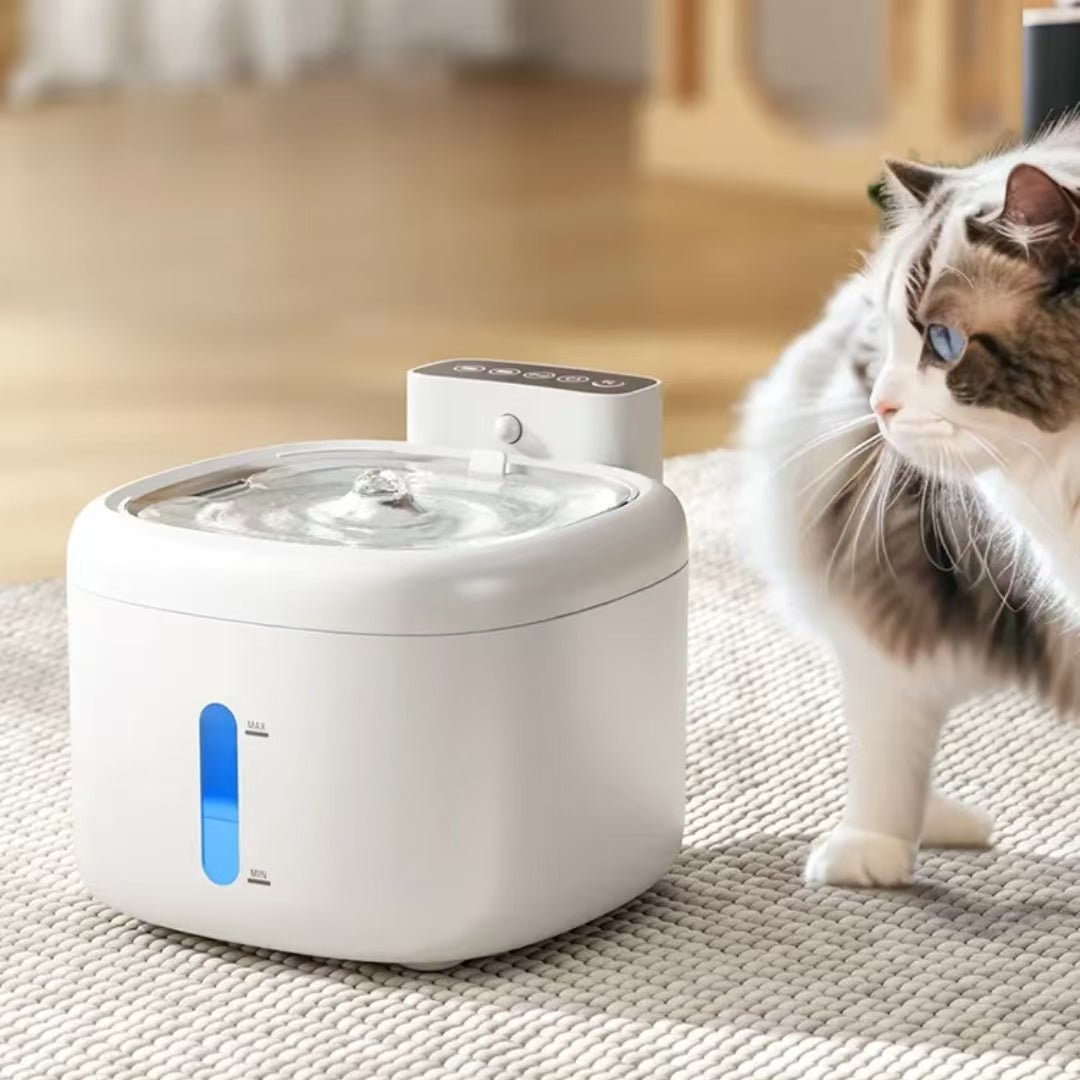 TailorMade Pet Hydration Pro - PawPattz