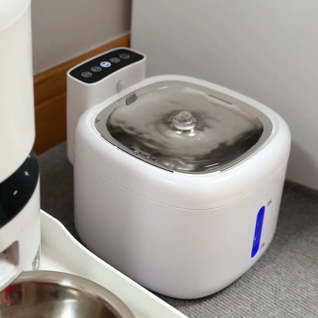 TailorMade Pet Hydration Pro - PawPattz