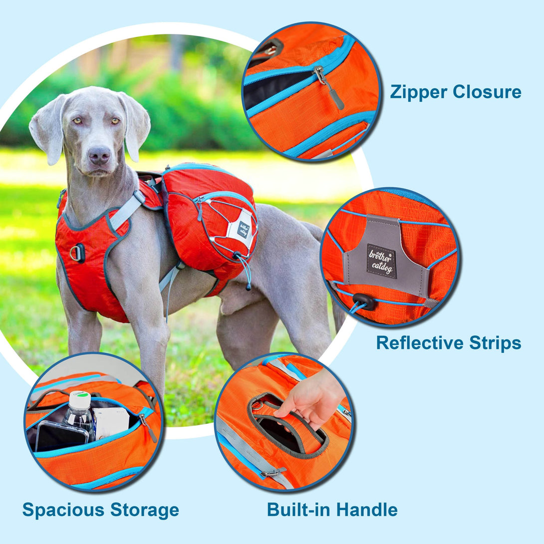 TrailBuddy K9 Pack - PawPattz