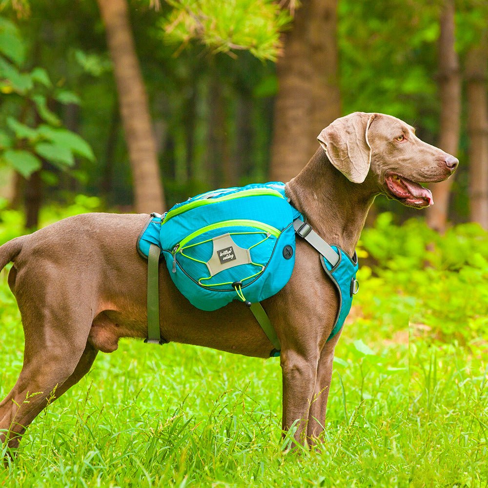 TrailBuddy K9 Pack - PawPattz