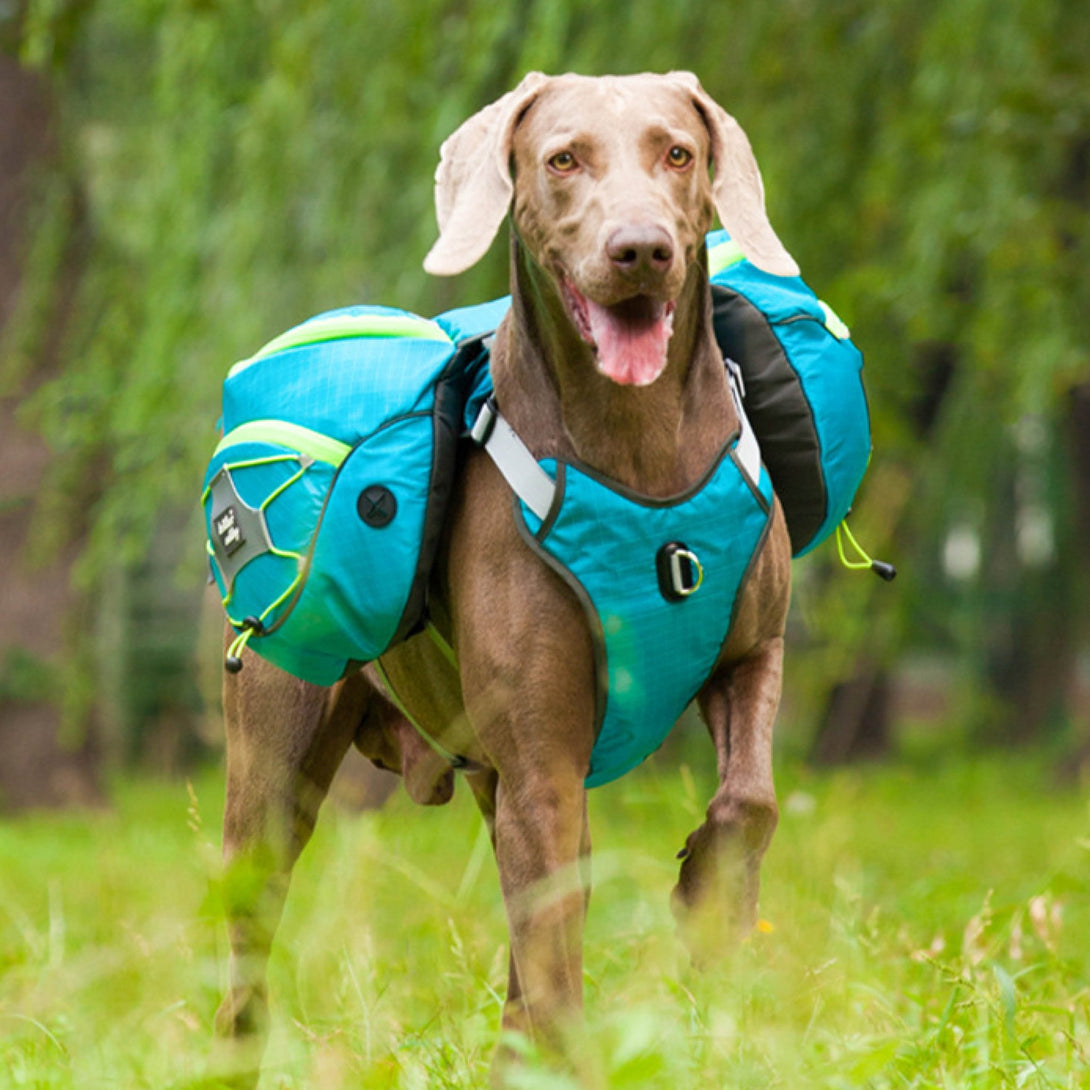 TrailBuddy K9 Pack - PawPattz