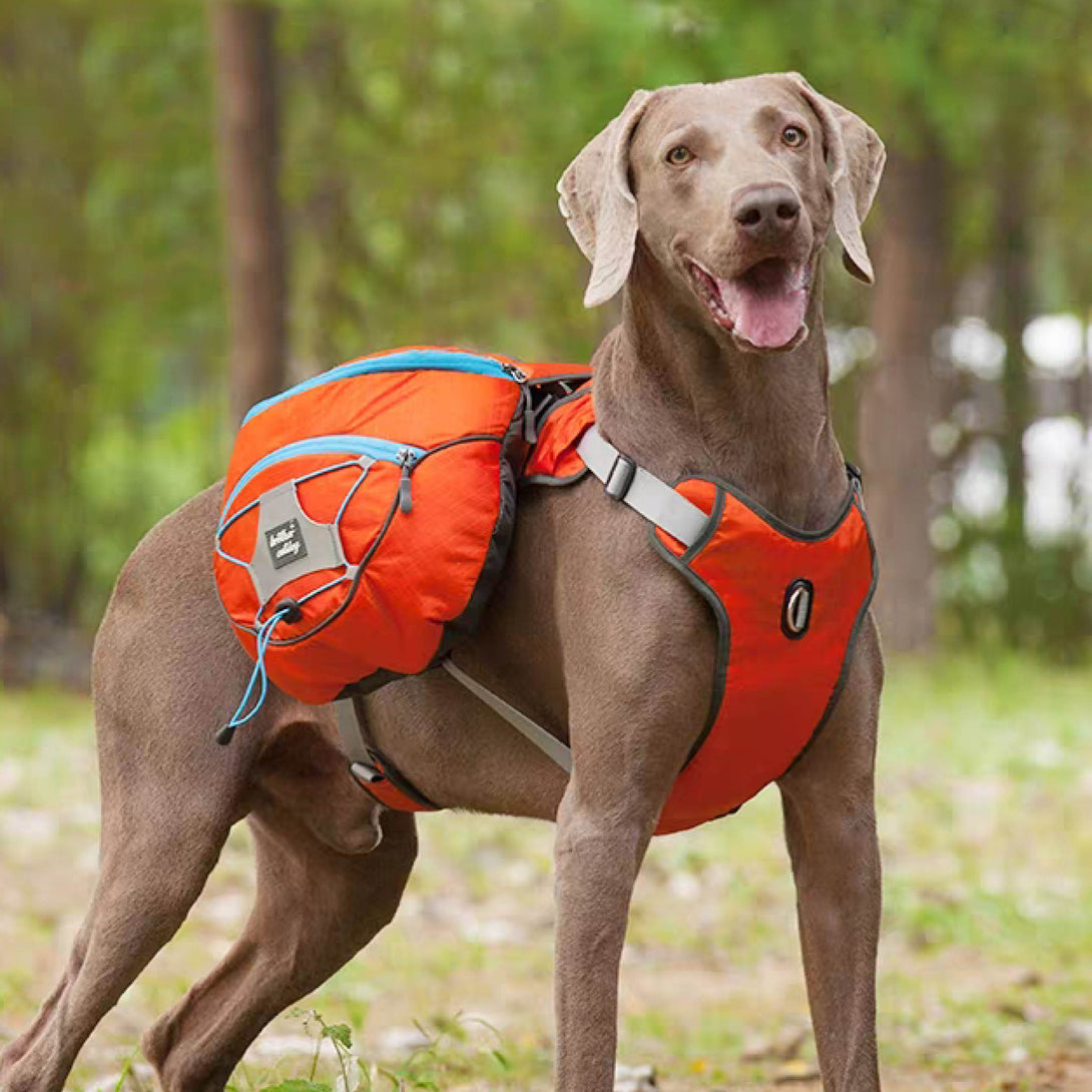 TrailBuddy K9 Pack - PawPattz