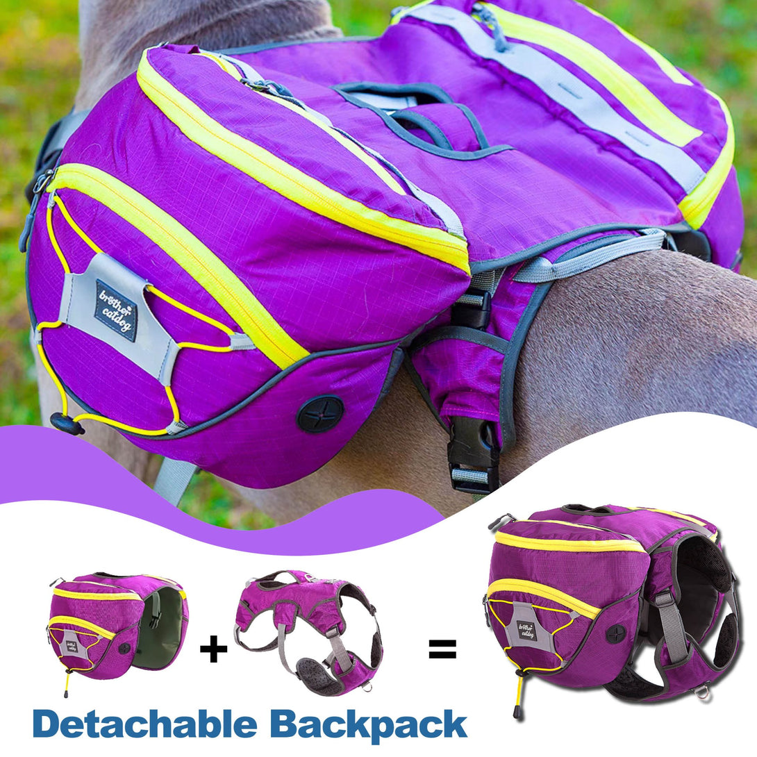 TrailBuddy K9 Pack - PawPattz
