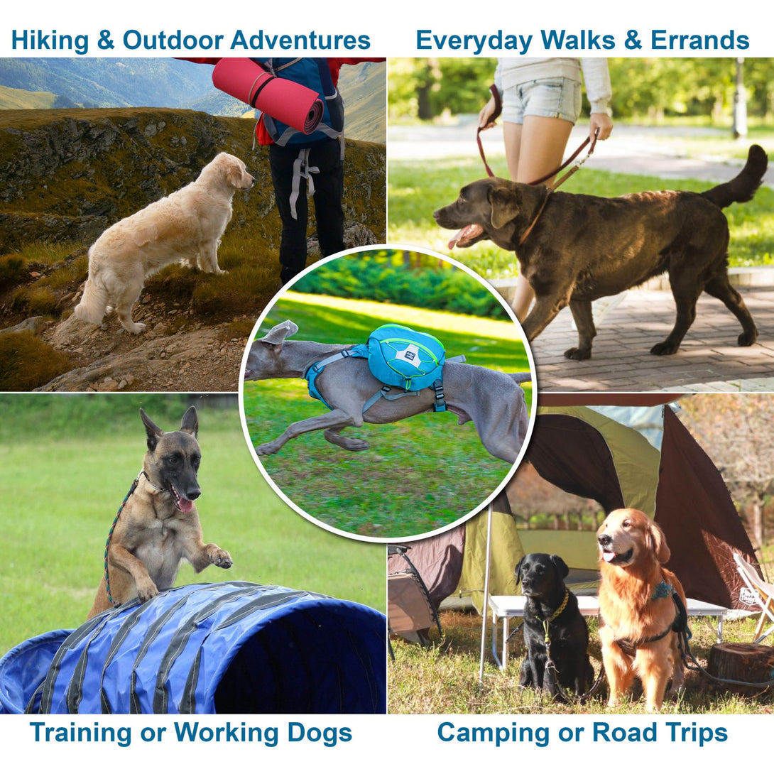 TrailBuddy K9 Pack - PawPattz