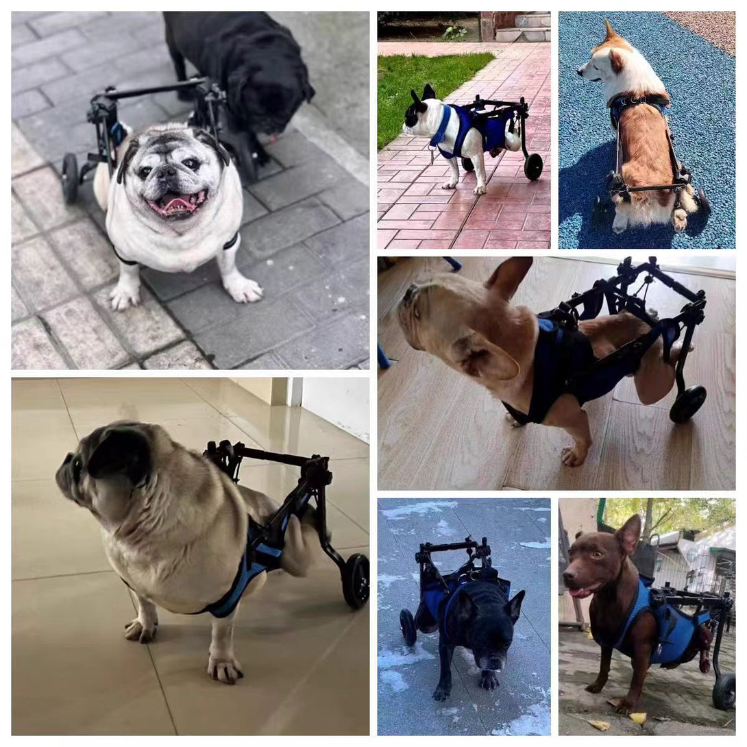 Upgraded Wheelchair for Small Dogs - PawPattz